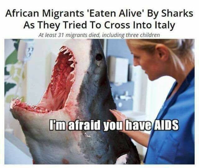dongs in a shark - meme
