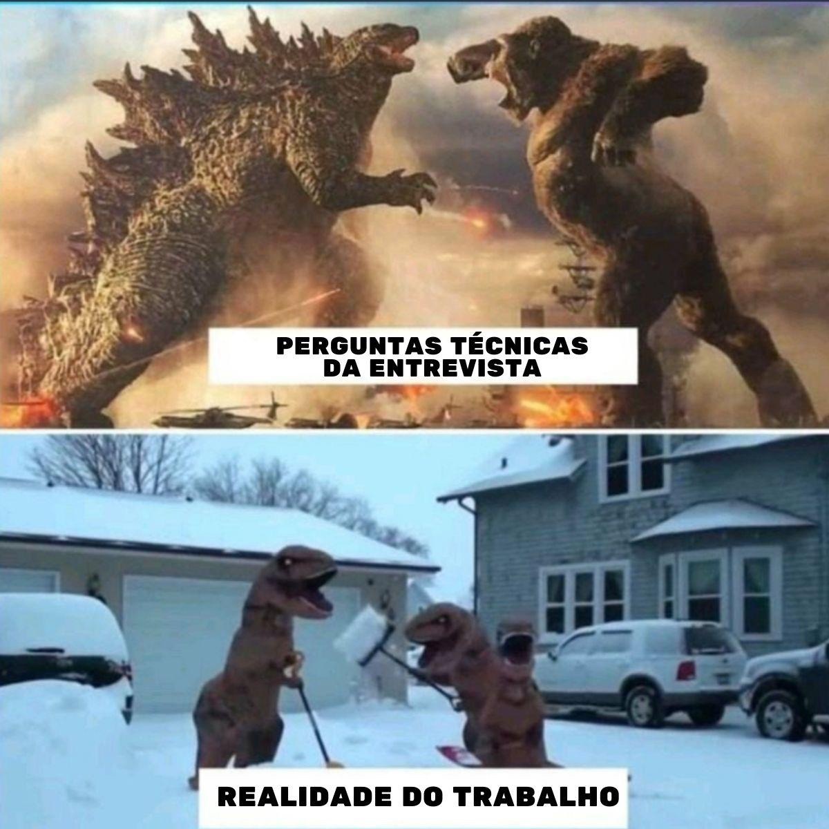 expectativa x realidade - meme