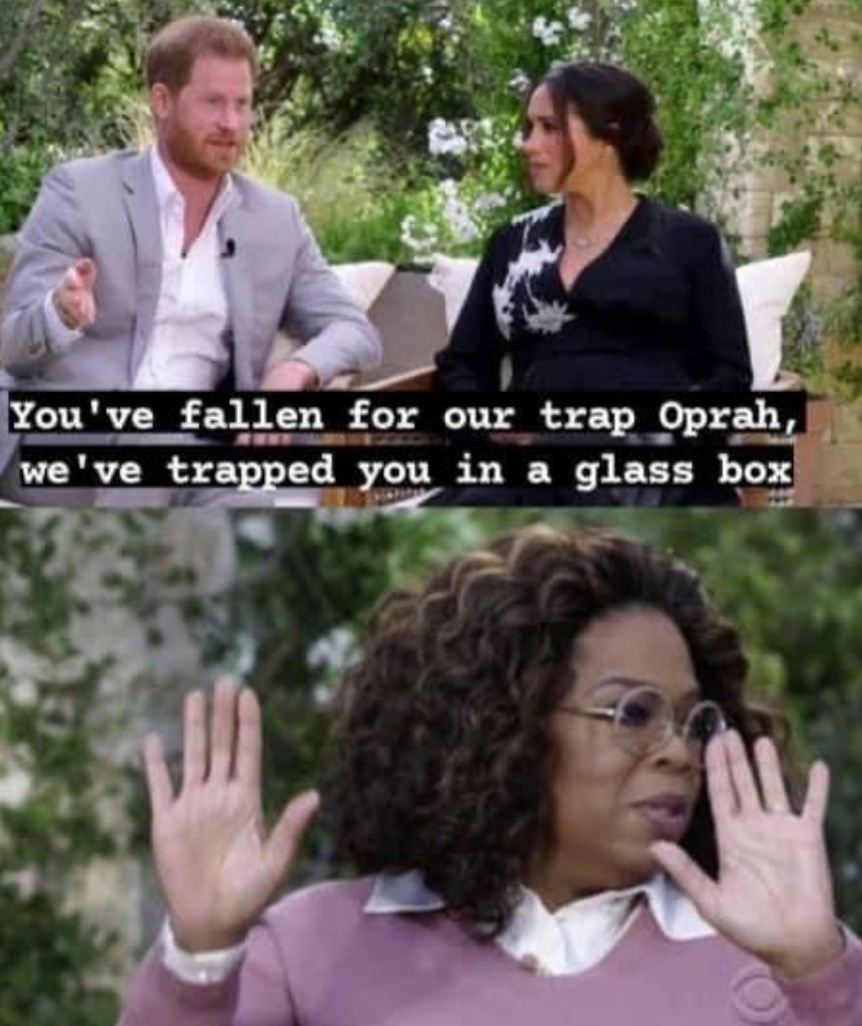 The best The Rock And Oprah memes :) Memedroid