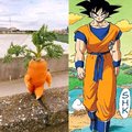 Goku planta