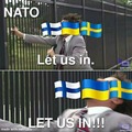 Will Finland and Sweden enter NATO?