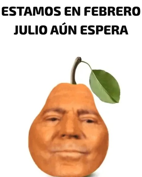 Julio Iglesias aún espera - meme