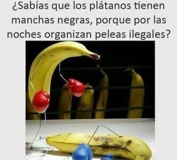 Los plátanos tienen manchas negras por las peleas nocturnas - meme
