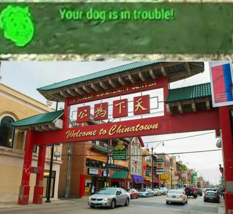 Dog meat noooo - meme