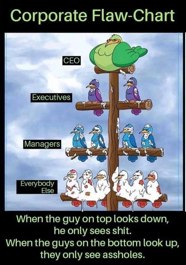 Corporate Flaw-Chart - meme