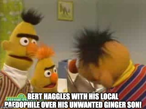 Bert gives away son - meme