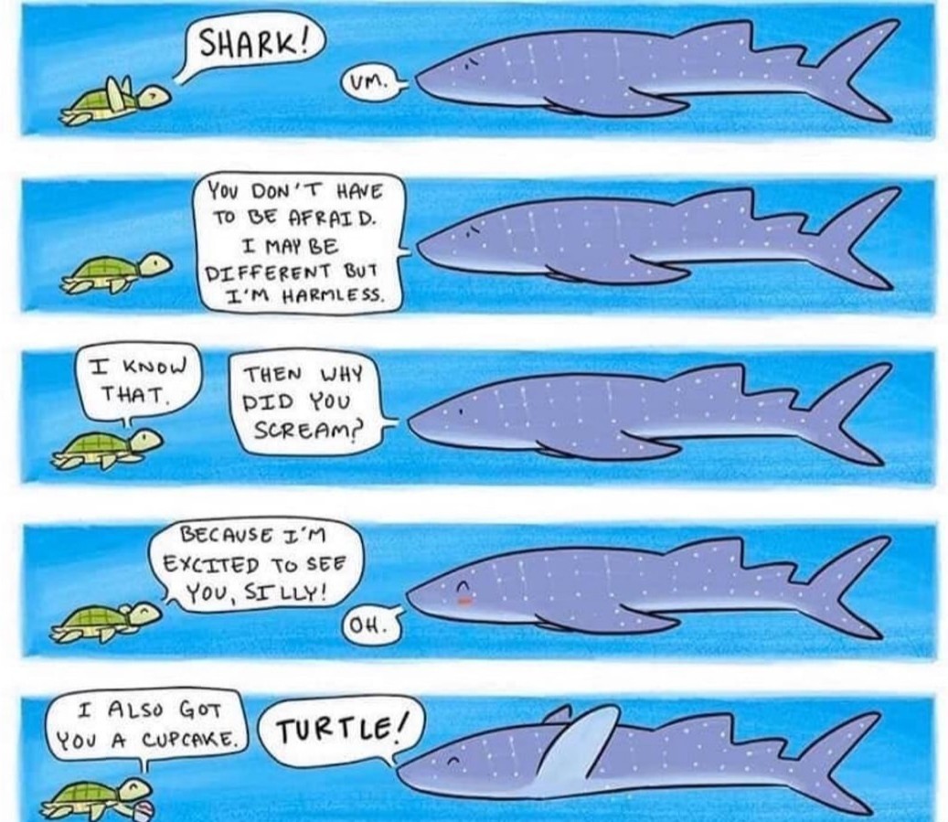 SHARK!! - meme