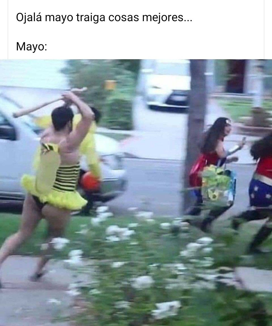 Mayo - meme