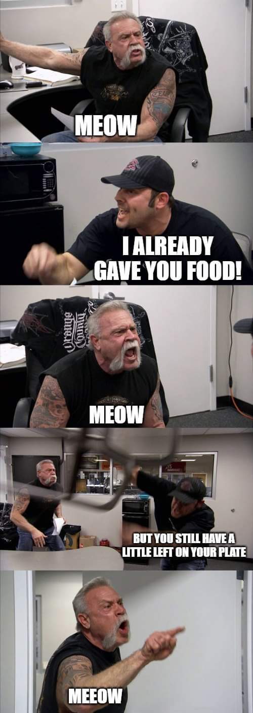 Another meow... - meme