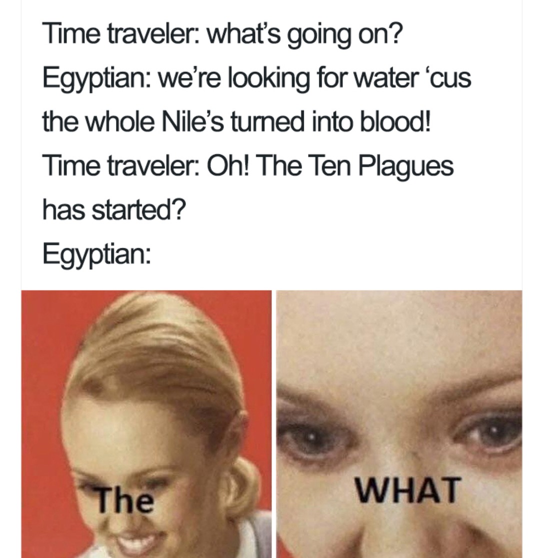 The ten plagues - meme