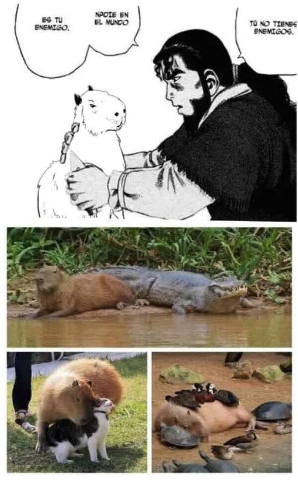 Los capybaras son buenos panas - meme