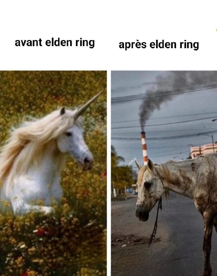 Le seul jeu qui m'a donné envie d' abandonner - meme
