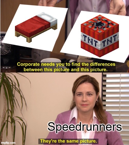 minecraft speedrunners - meme