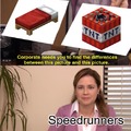 minecraft speedrunners