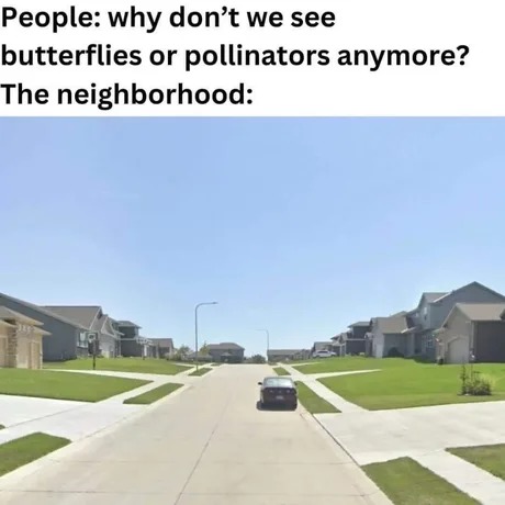 Empty - meme