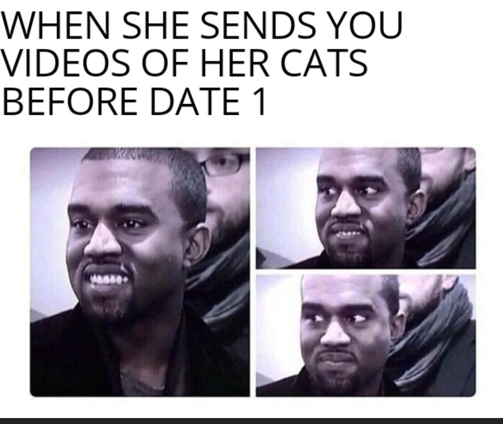 Crazy cat ladies - meme