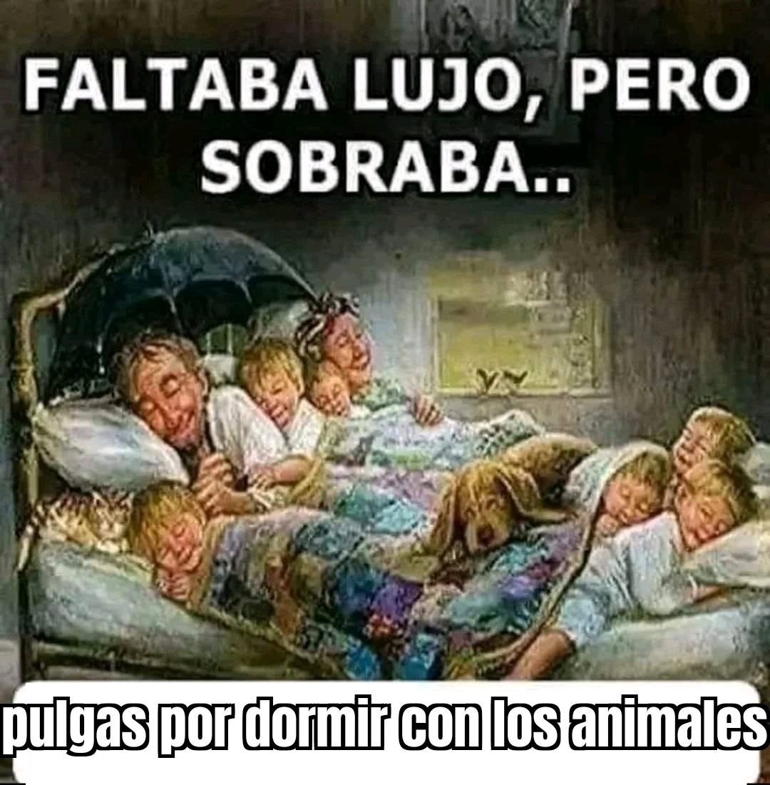 Título - meme