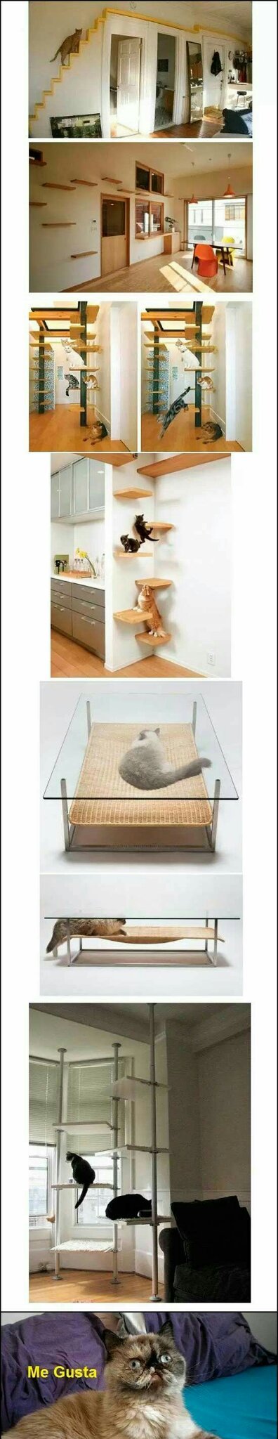 La casa ideal de todo gato - meme