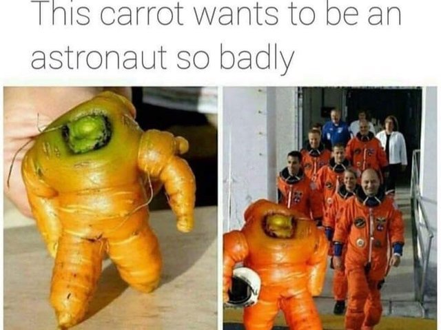 This carrot wants to be an astronaut so badly - meme