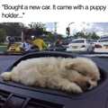 puppy holder