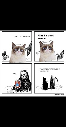 Rip grumpy cat - meme