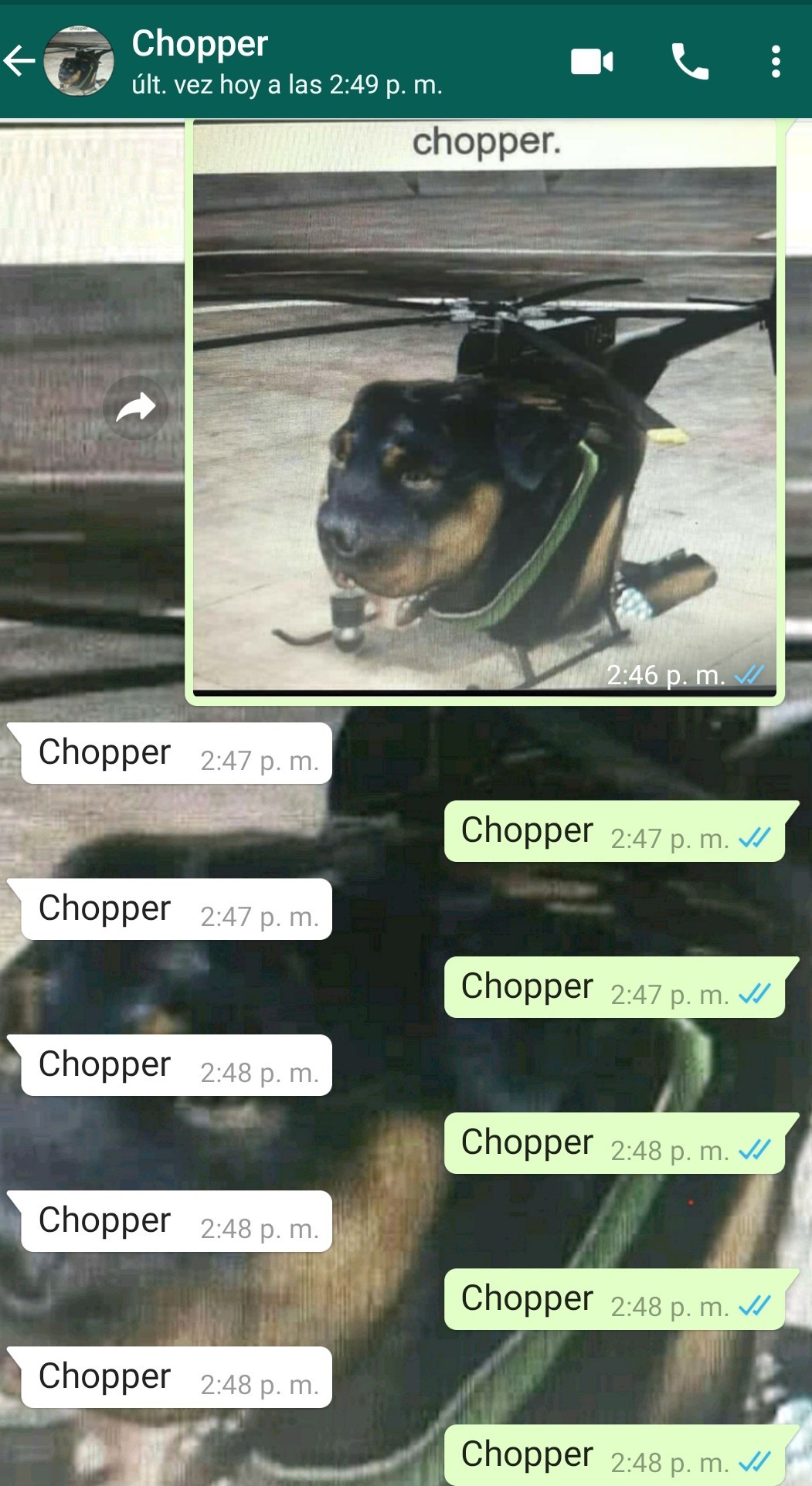Chopper - meme