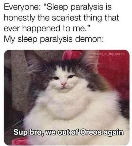 Fluffy demon - meme