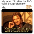 PhD -> IOU