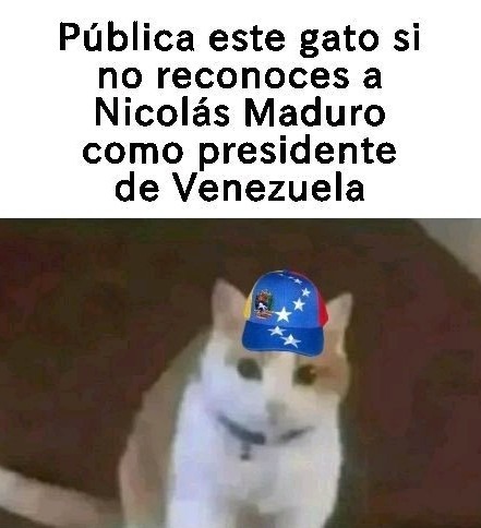Maduro coñoetumadre - meme