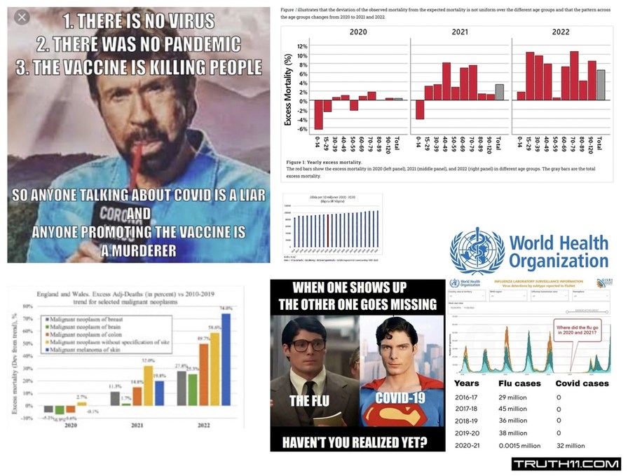 Flu Was Renamed Covid | No Excess Deaths Until The Covid Vaccine Rollout - meme
