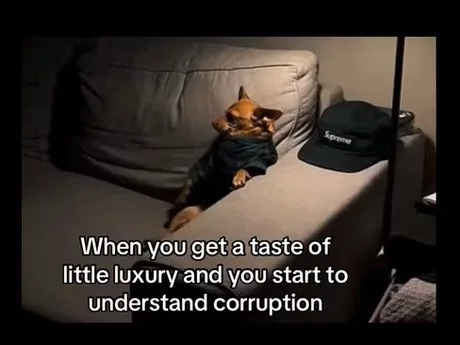 Luxury and corruption - meme