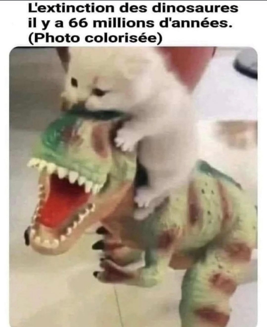 extinction des dinos en 4K ultra HD couleur - meme