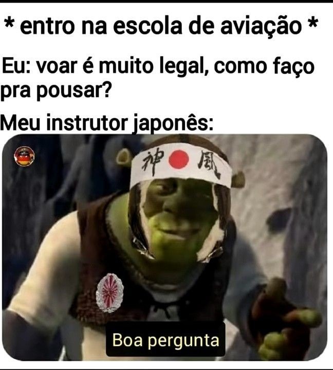 É só se auto-suicidar para pousar - meme