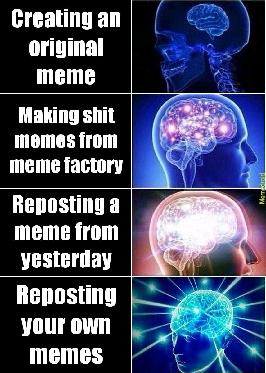 The Best Brain Memes Memedroid
