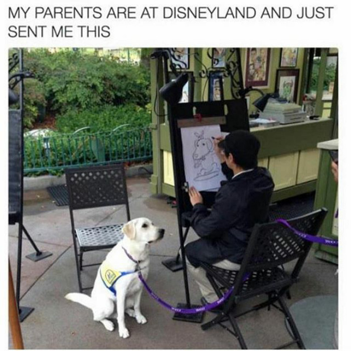 Disney doggo - meme