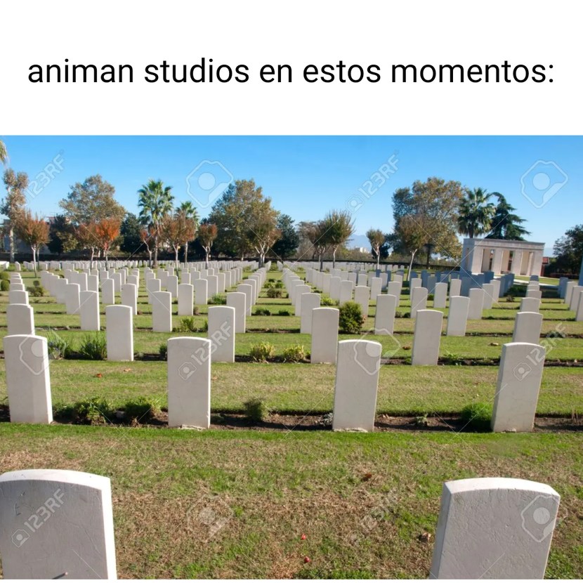 Animan studios ya está muerto - meme