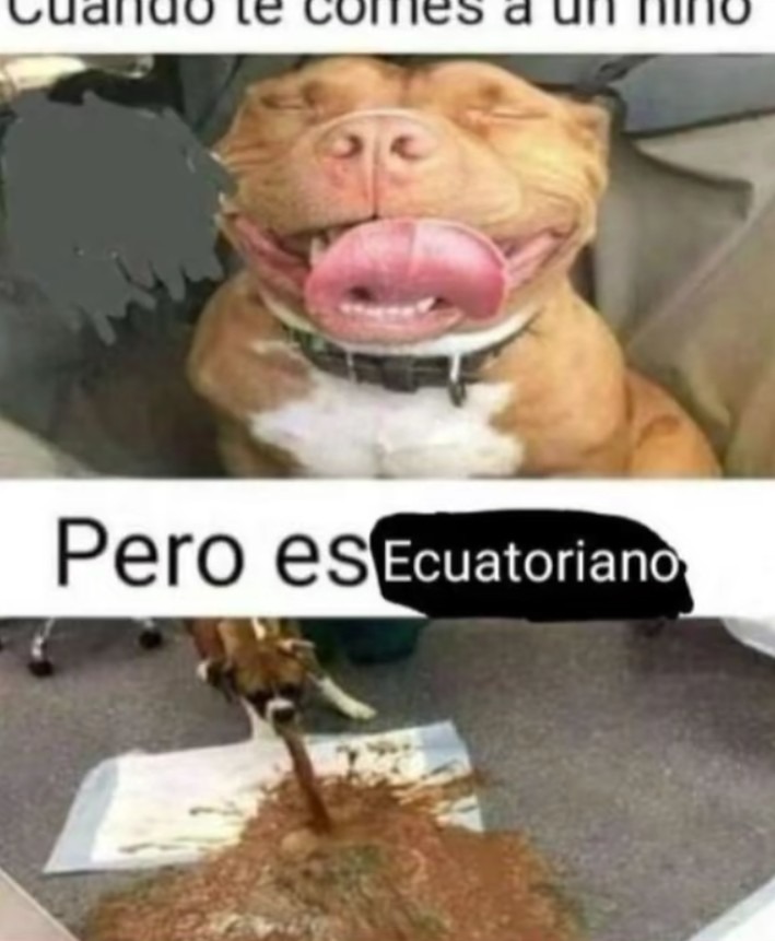 Pitbull princesa - meme