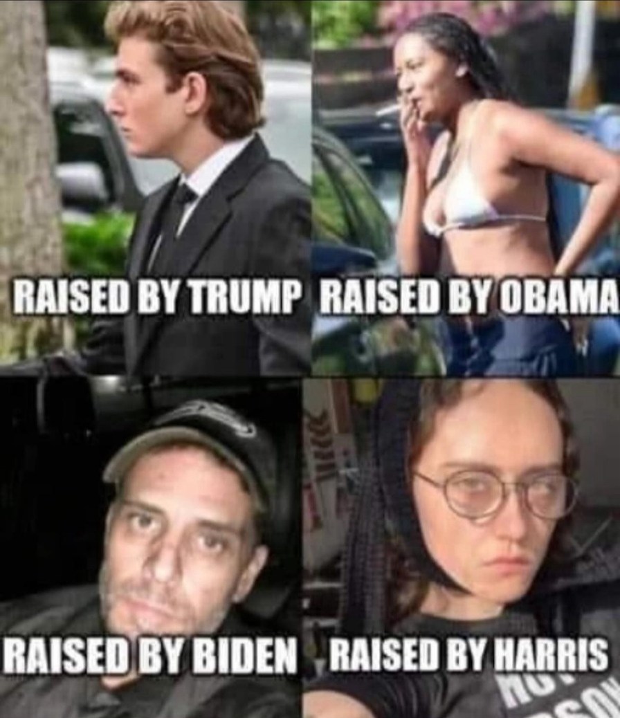 says a lot - meme