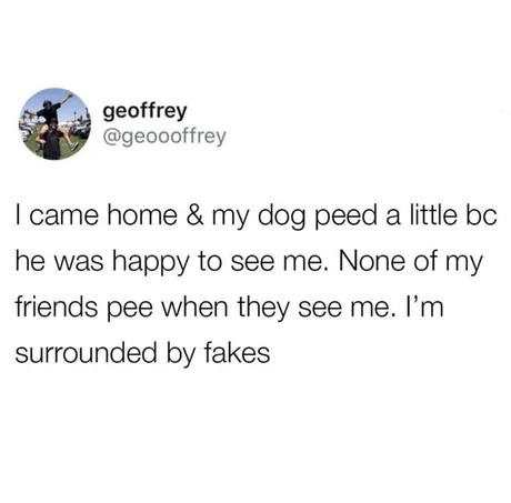 surrounded by fakes - meme
