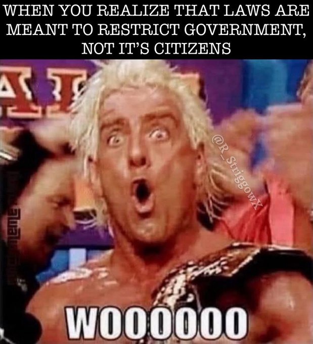 refuse to be governed - meme