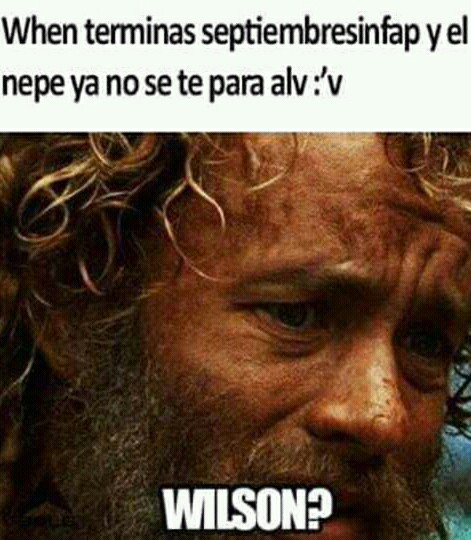 Wilson! - meme
