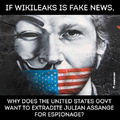 good guy assange