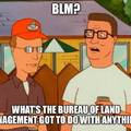 King of the hill is the best
