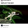 deploy the boy