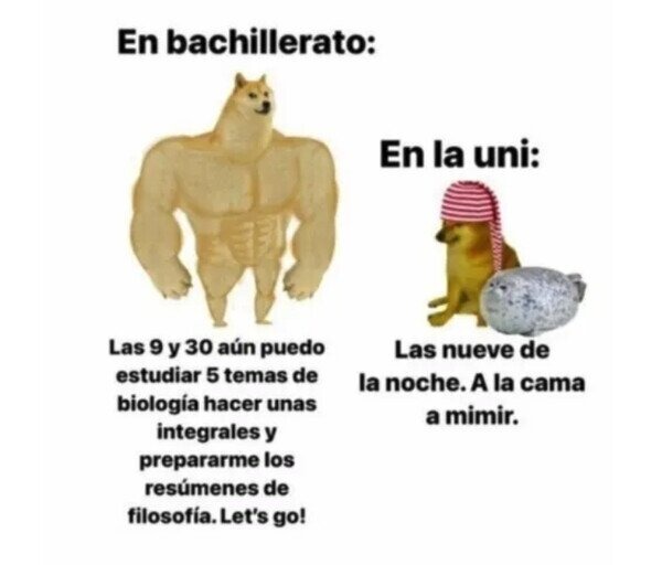 Bachillerato vs universidad - meme
