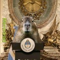 Ahora el capybara es nuestro nuevo presidente
