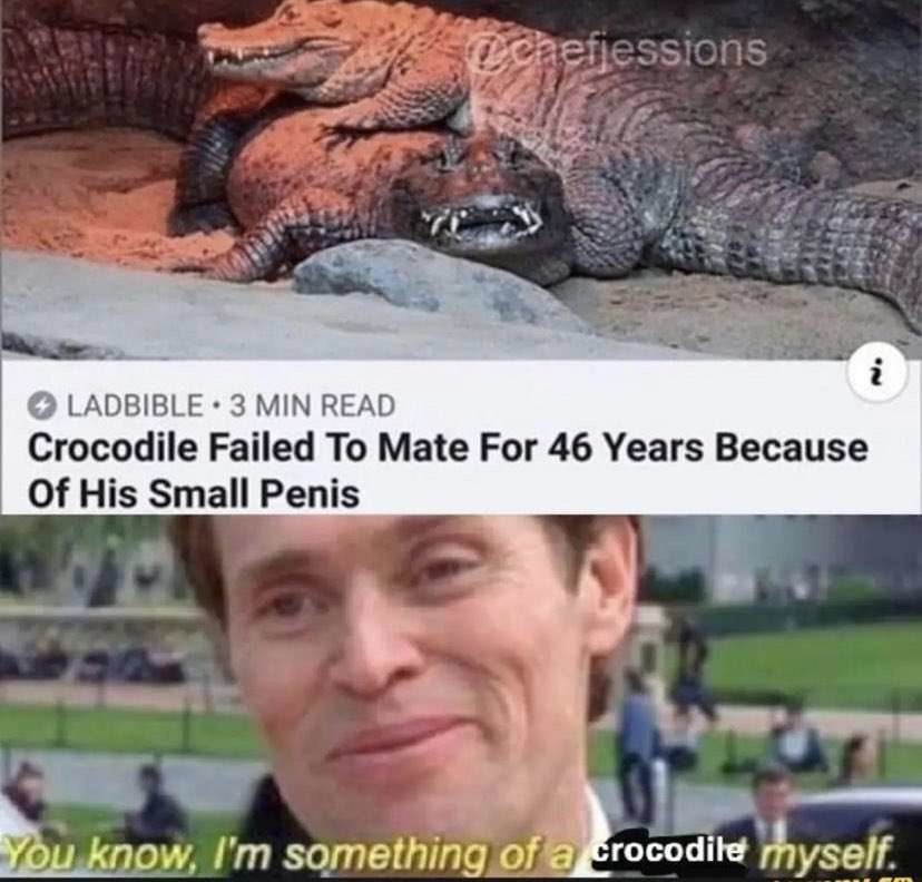 Croc - meme