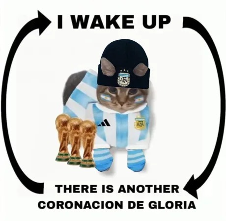 Argentina campeona de America 2024 - meme
