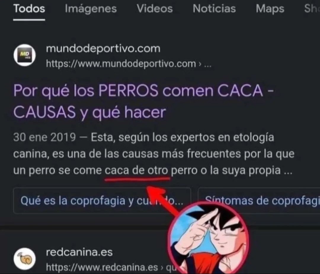 Se filtra la nueva peli de Dragón Ball - meme