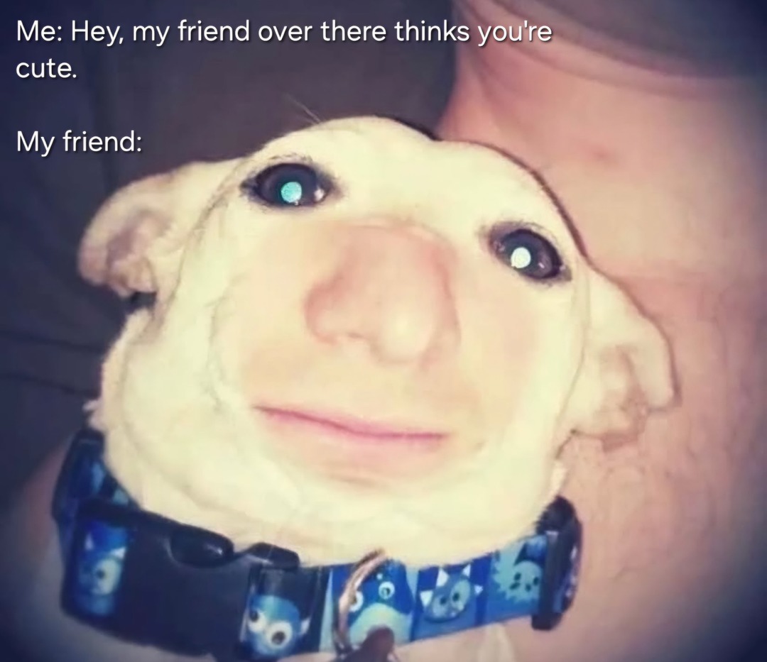 He's a good dude - meme